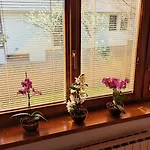 Sima - Relax, Privat bolig Žilina
