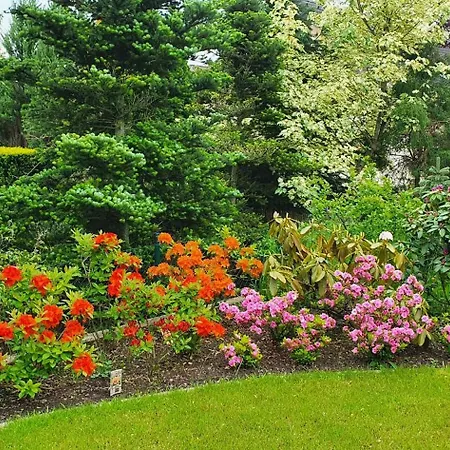 Sima - Relax, * Zilina