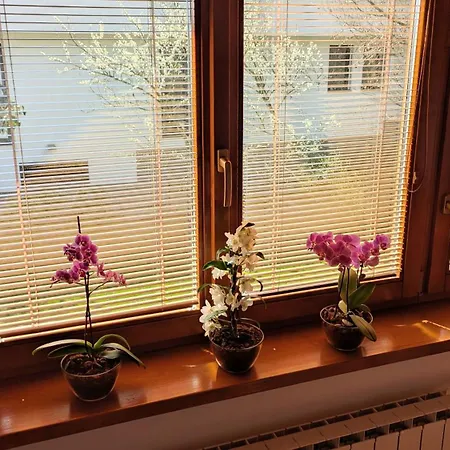 Sima - Relax, Homestay Zilina