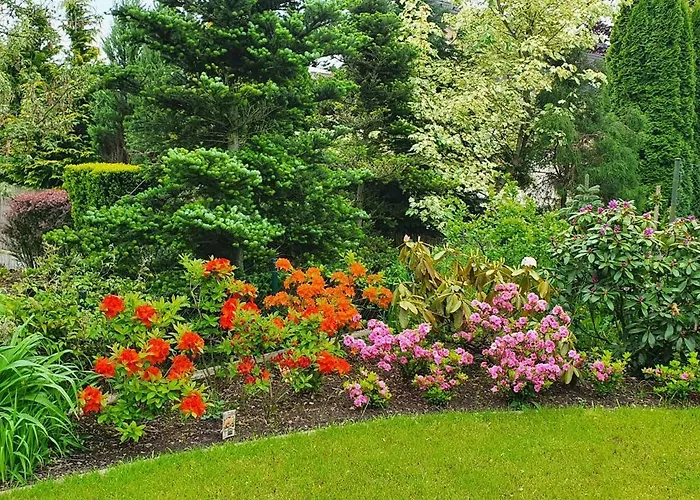 Sima - Relax, * Žilina